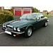 Buy NitroLift Jaguar XJ12 94' Bonnet Strut by NitroLift for only £19.19