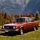 NitroLift Volvo 260 1978-1993 Tailgate / Boot Gas Strut