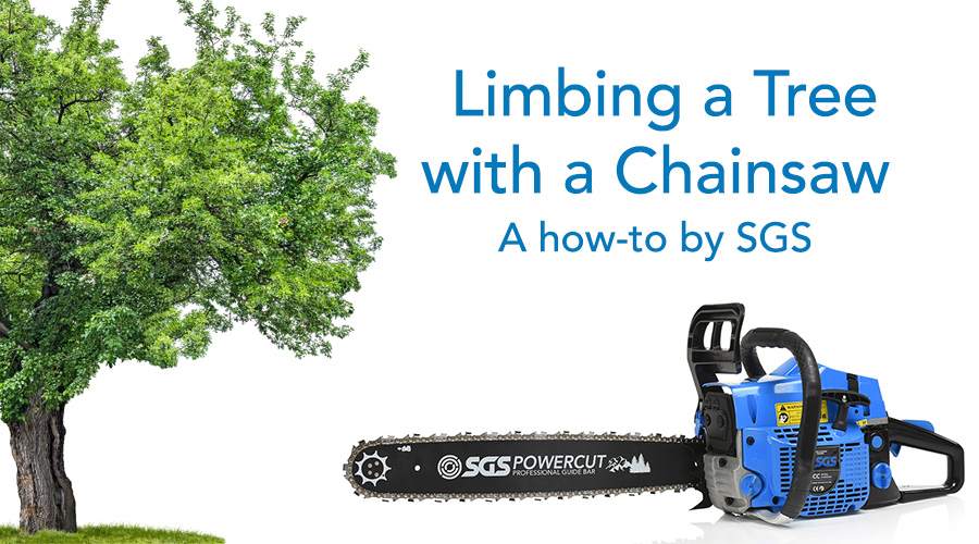 How to Go About Limbing a Tree with a Chainsaw